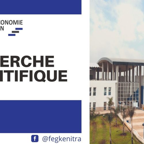 Manuel Techniques d’audit et de contrôle interne » – Pr. HASNAOUI